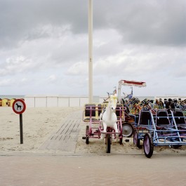 Lena Fingerle photography