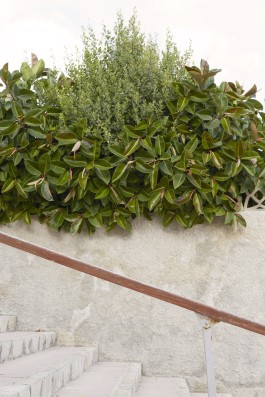 Lena Fingerle photography