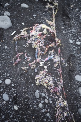 Lena Fingerle photography