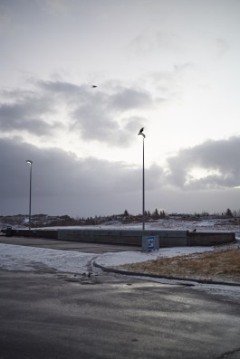 Lena Fingerle photography