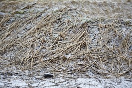 Lena Fingerle photography