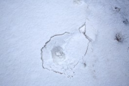 Lena Fingerle photography