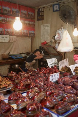 Lena Fingerle photography