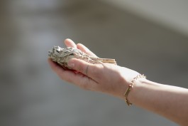 Lena Fingerle photography