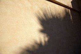 Lena Fingerle photography